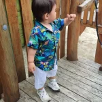 Baby Boy Clothes 0-5 Years. Baby Boy Shorts and Summer Toddlers Dress